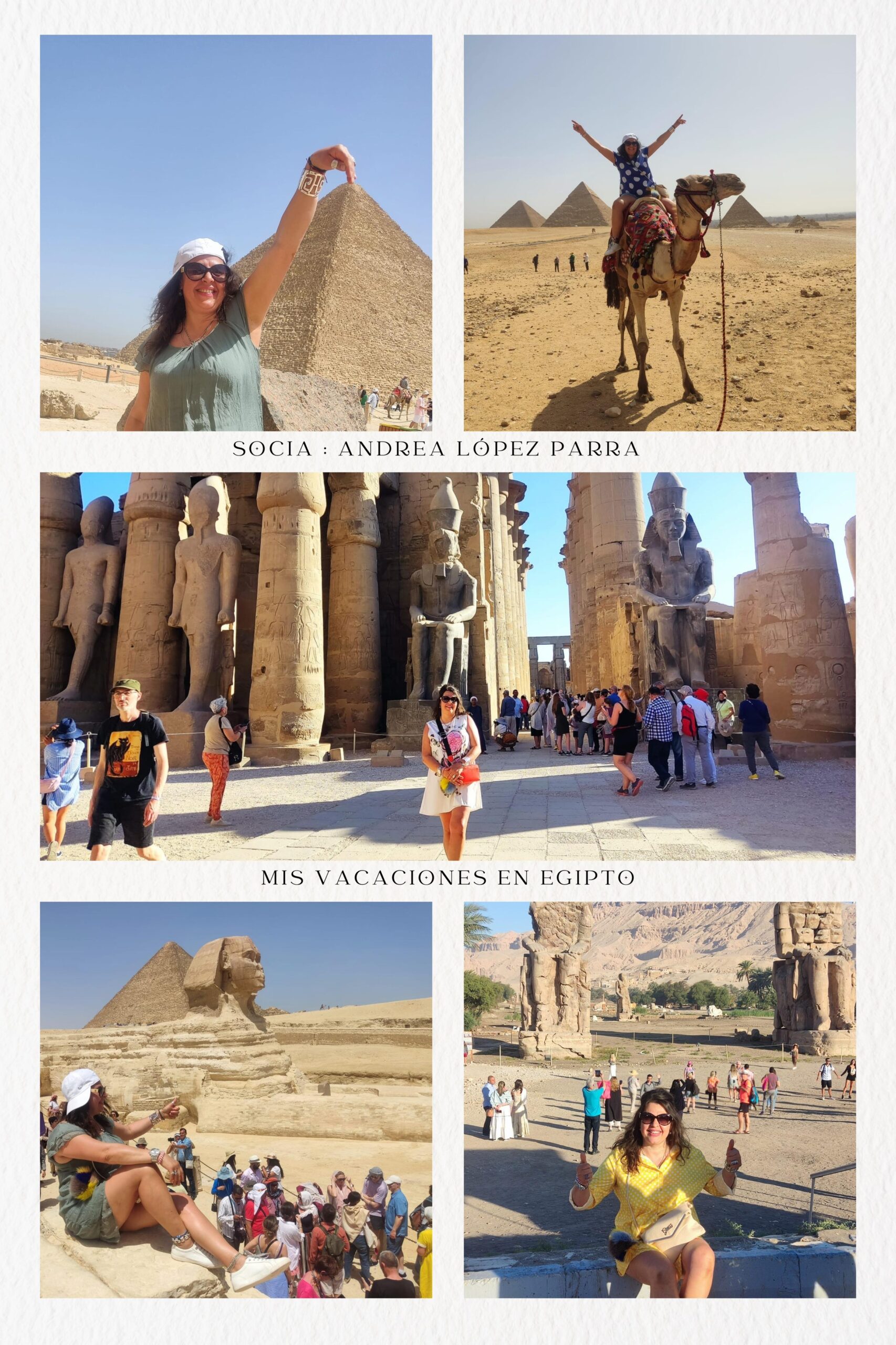 Imagen de WhatsApp 2024-08-22 a las 21.43.30_4cb441ea